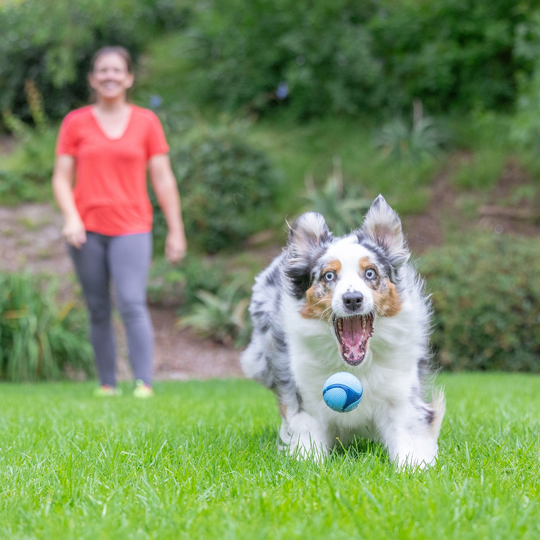 Chuckit Bacon Sniff Fetch Ball