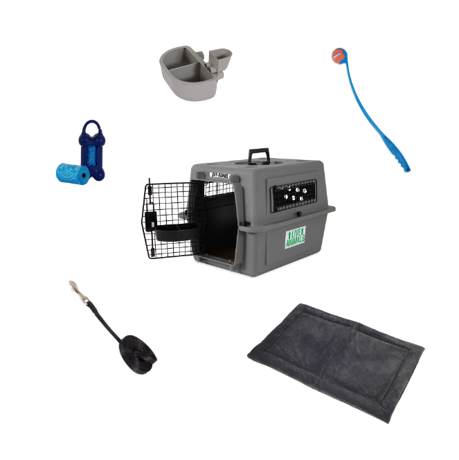 The Essential New Dog Bundle by Petmate includes a gray pet carrier, blue waste bag dispenser, gray water bowl, blue wand toy, black waste scoop, and gray mat on a white background. It also features a stylish and functional Petmate dog lead for walks.