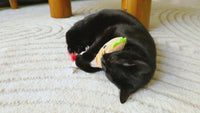 Quirky Kitty Deli Delight Kicker Cat Toy 16959