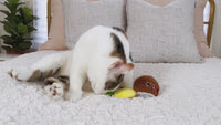 Quirky Kitty Purrfect Pina Colada Catnip Plush Cat Toy