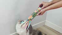 Quirky Kitty Peek & Pounce Wand