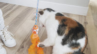 Quirky Kitty Cute Koi Wand Cat Toy