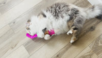 Quirky Kitty Ice Cream Kicker Cat Toy