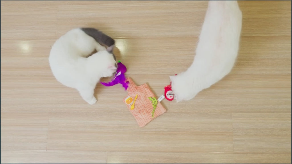 Quirky Kitty Charcuterie Board Play Mat 16913 Video Of cat Playing