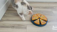 Quirky Kitty Pizza Puzzle 16896 Video