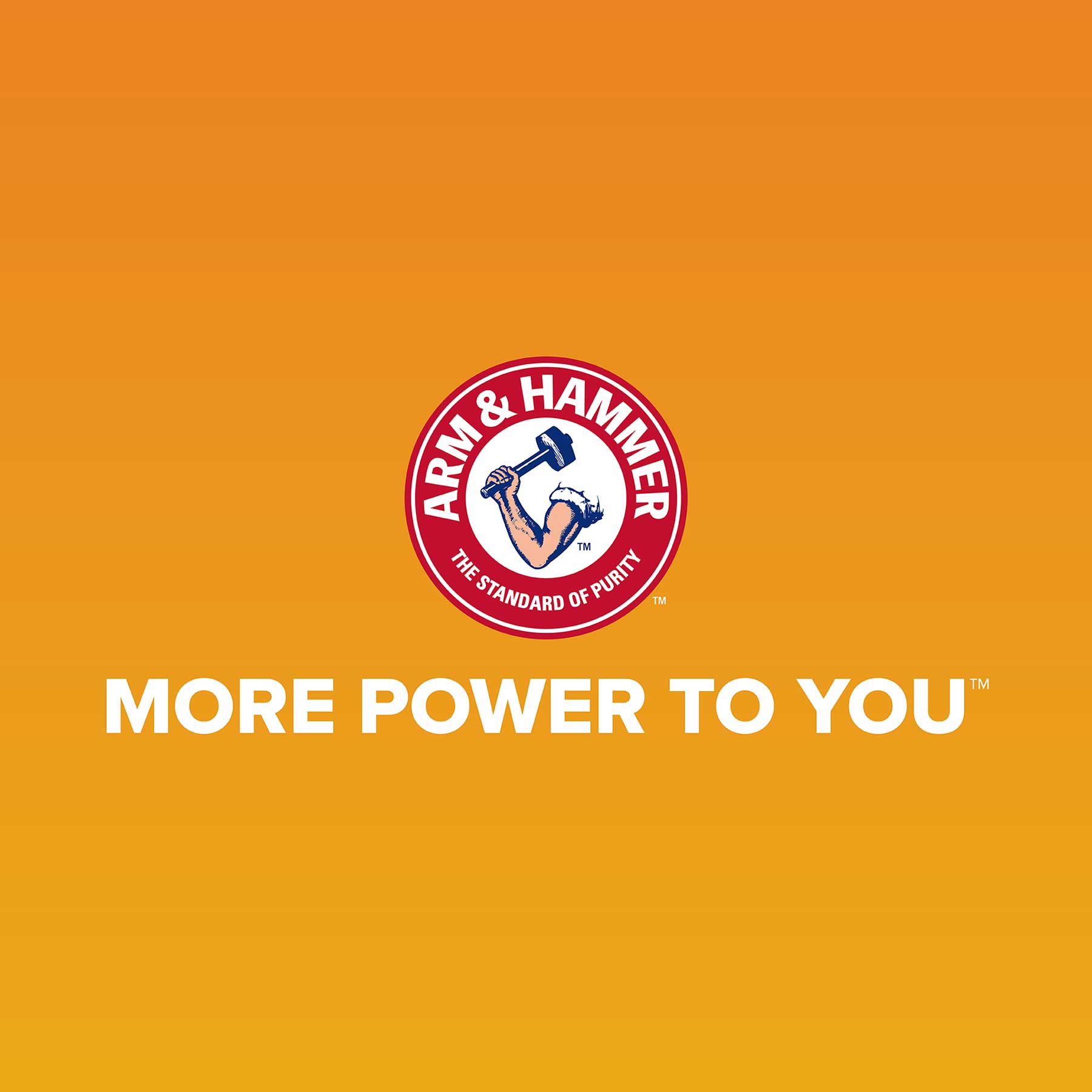 The Arm & Hammer logo features a strong arm with a hammer on a red circle, reading THE STANDARD OF PURITY. Beneath it, the slogan MORE POWER TO YOU appears on an orange gradient, now including MICROBAN® antimicrobial protection. This is seen on the Arm & Hammer Large Rimmed Wave Litter Box.