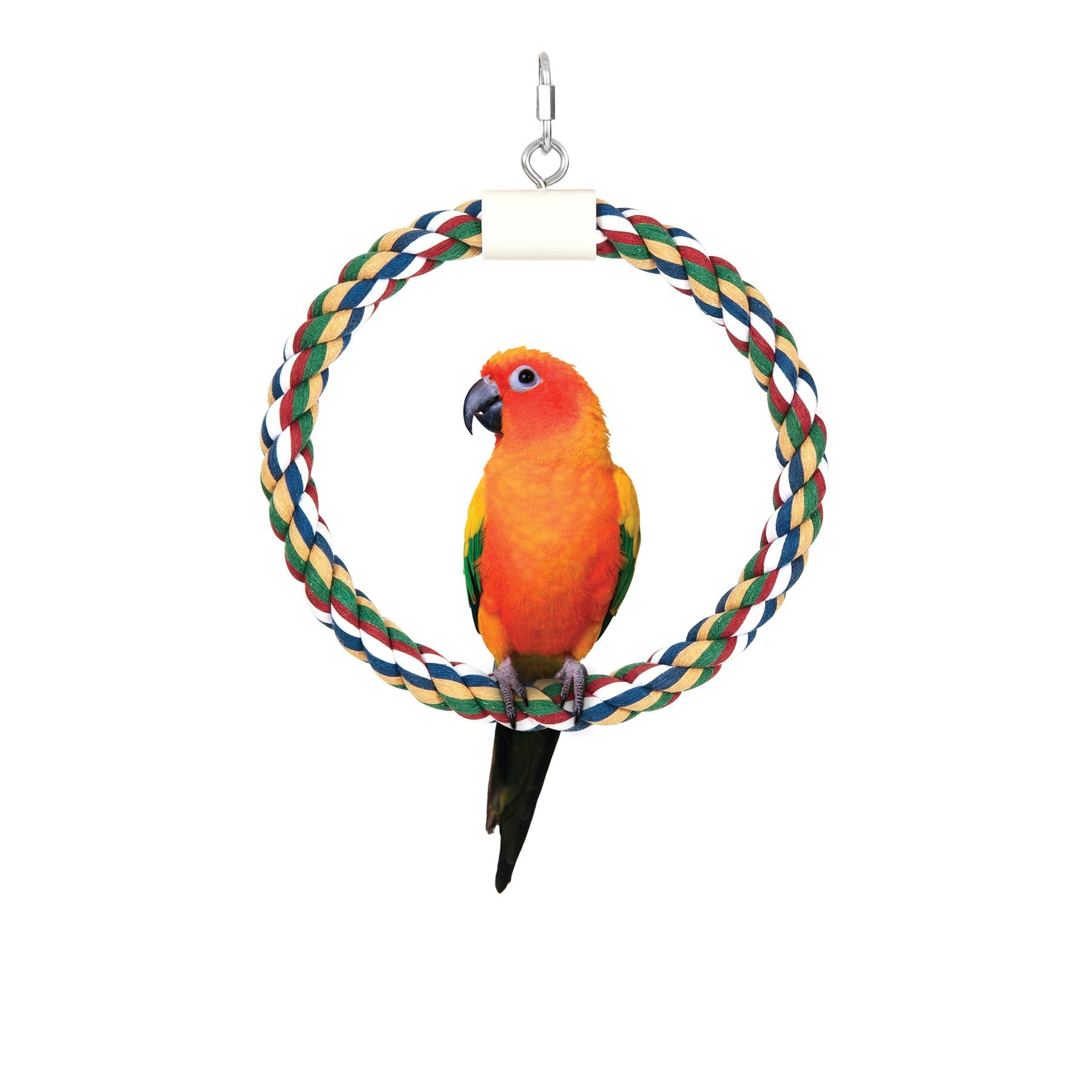 JW Swing N' Perch Bird Toy