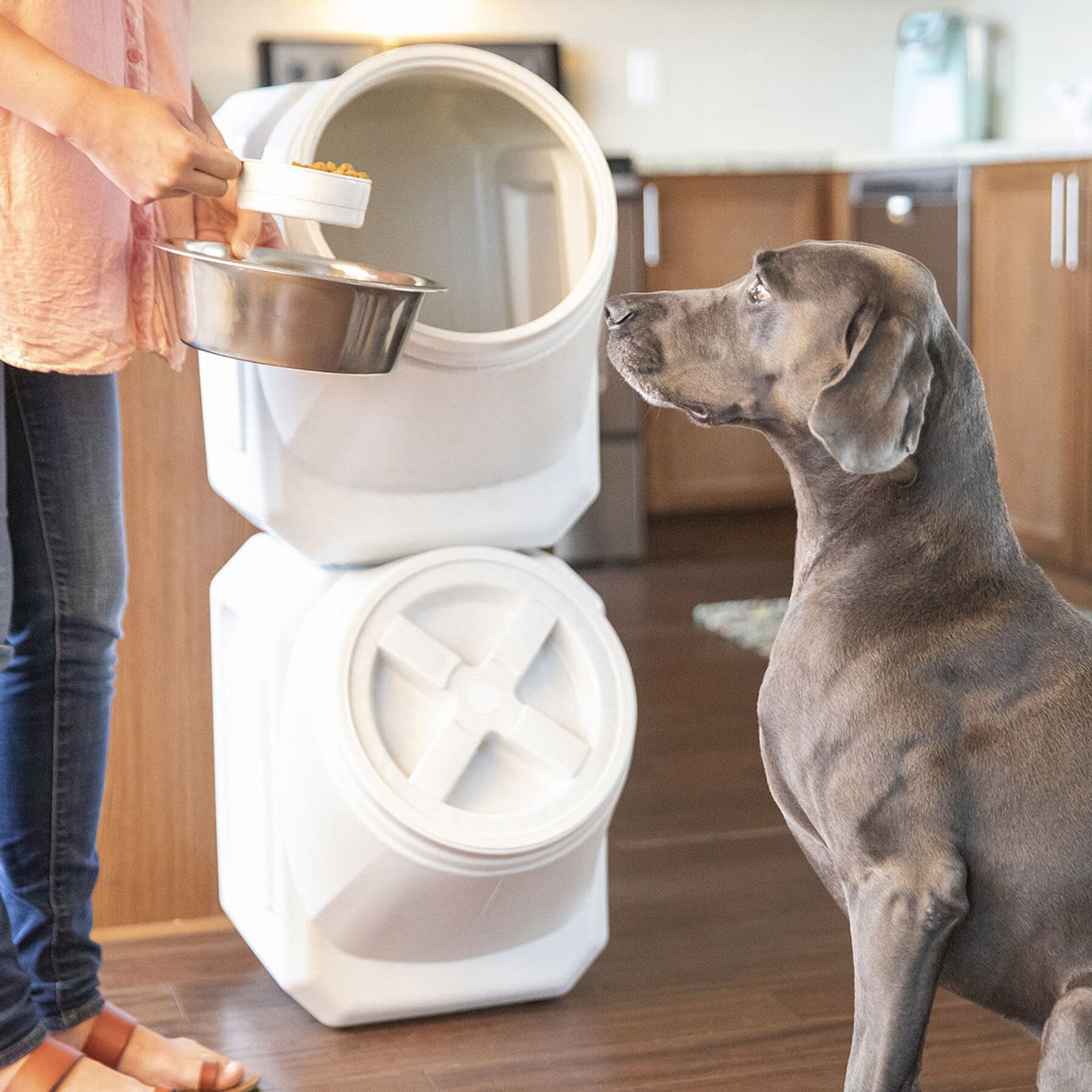 Outdoor dog food storage best sale