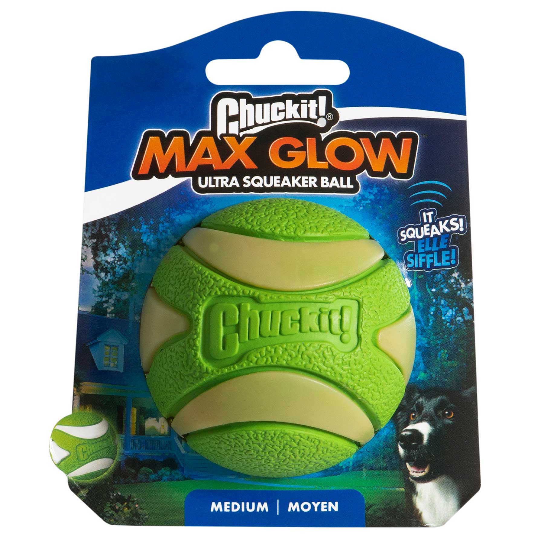 Chuckit ultra squeaker ball medium hotsell