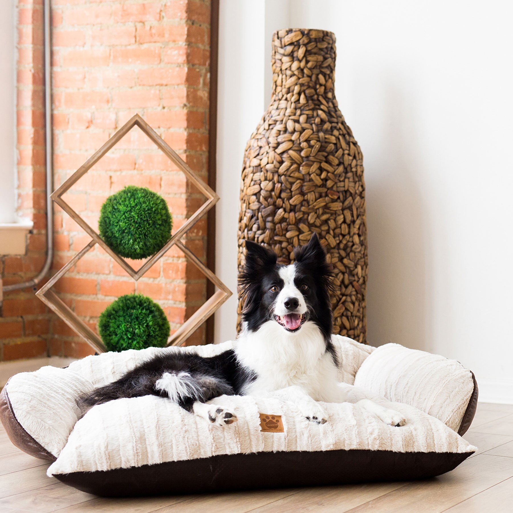 Comfy couch pet bed best sale