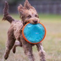 Chuckit! Paraflight Flyer Dog Toy