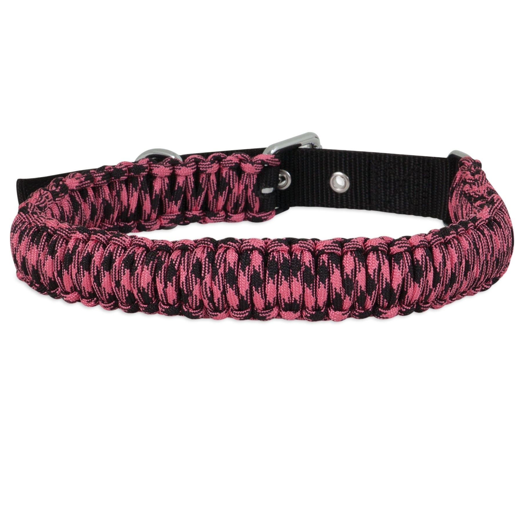 Aspen Pet Paracord Dog Collar Petmate