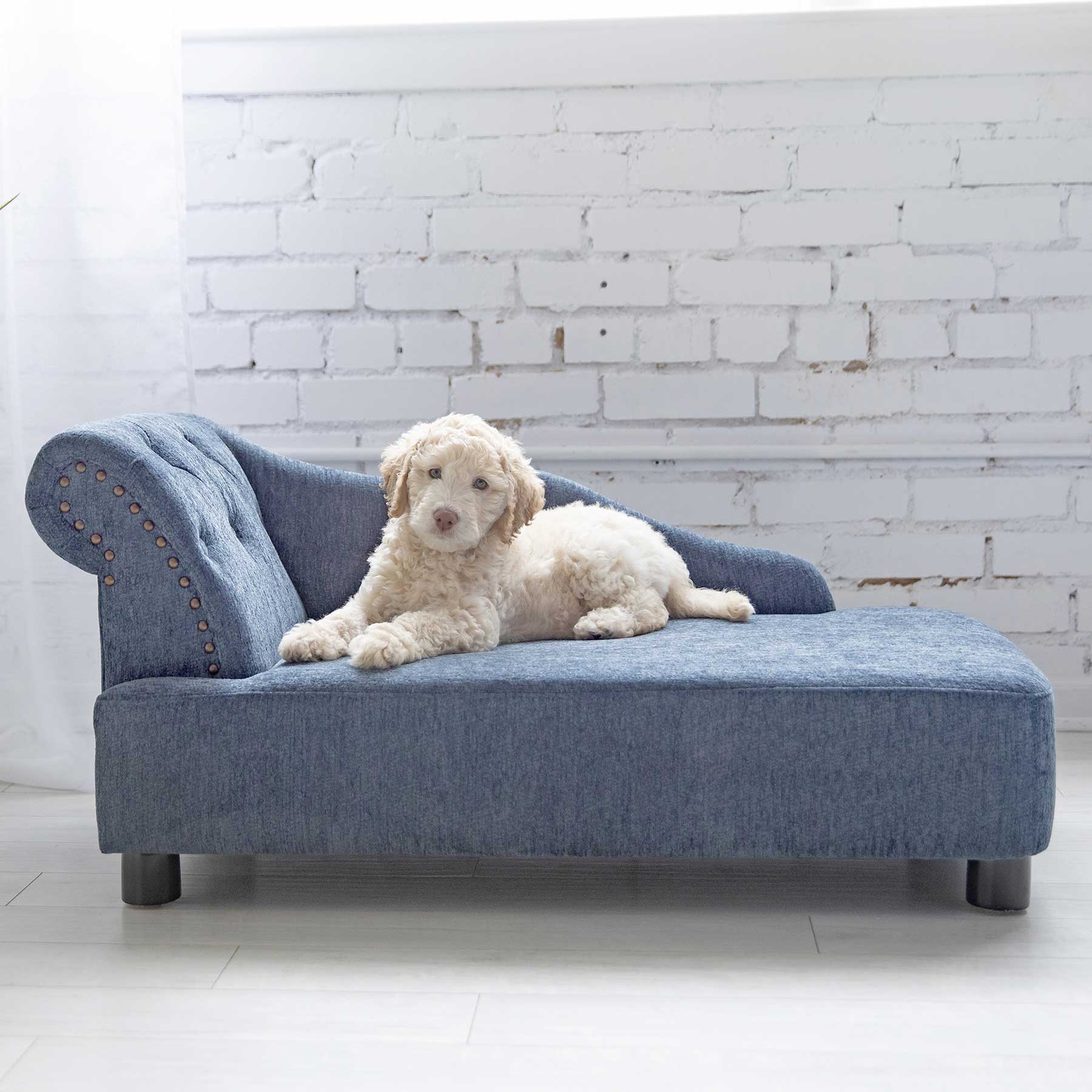 Petmate elevated hot sale dog bed