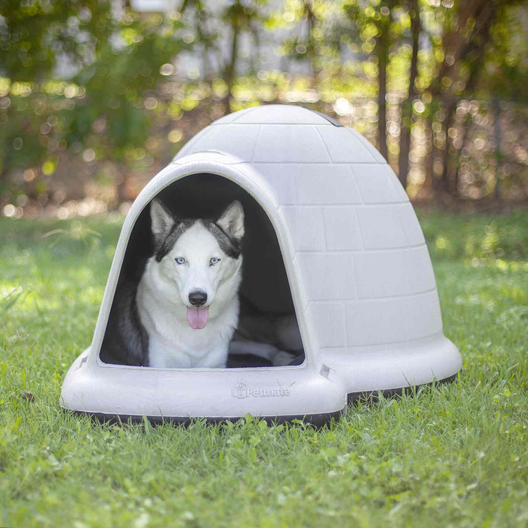 Igloo heated sale dog house