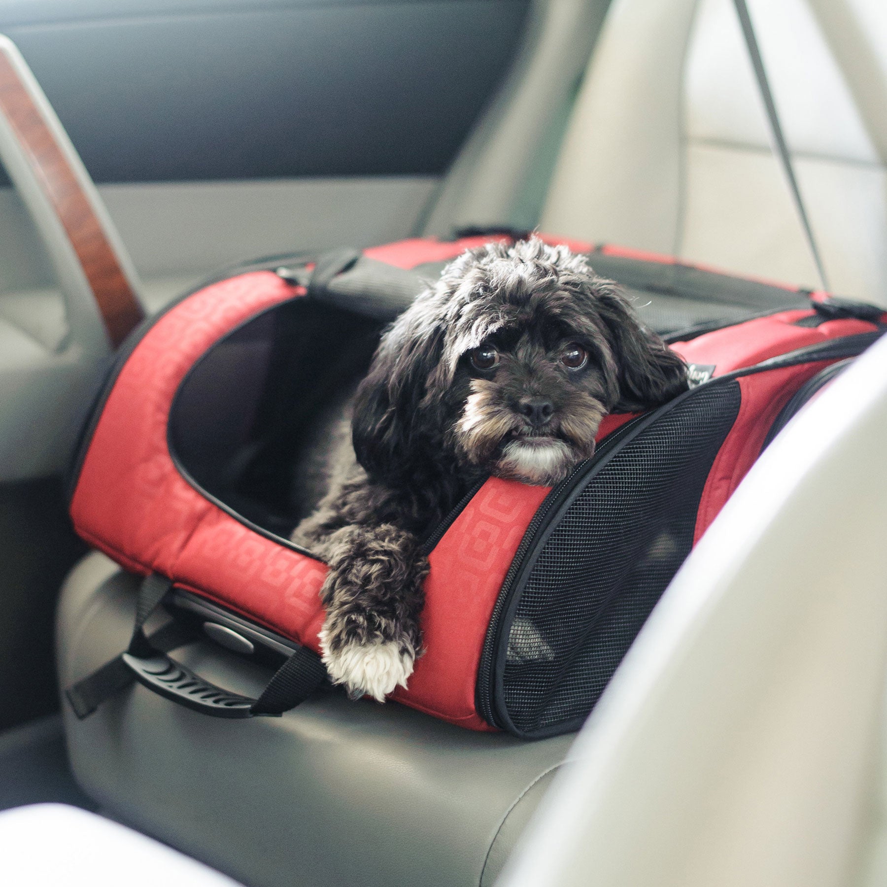 Gen7 pet roller carrier sale