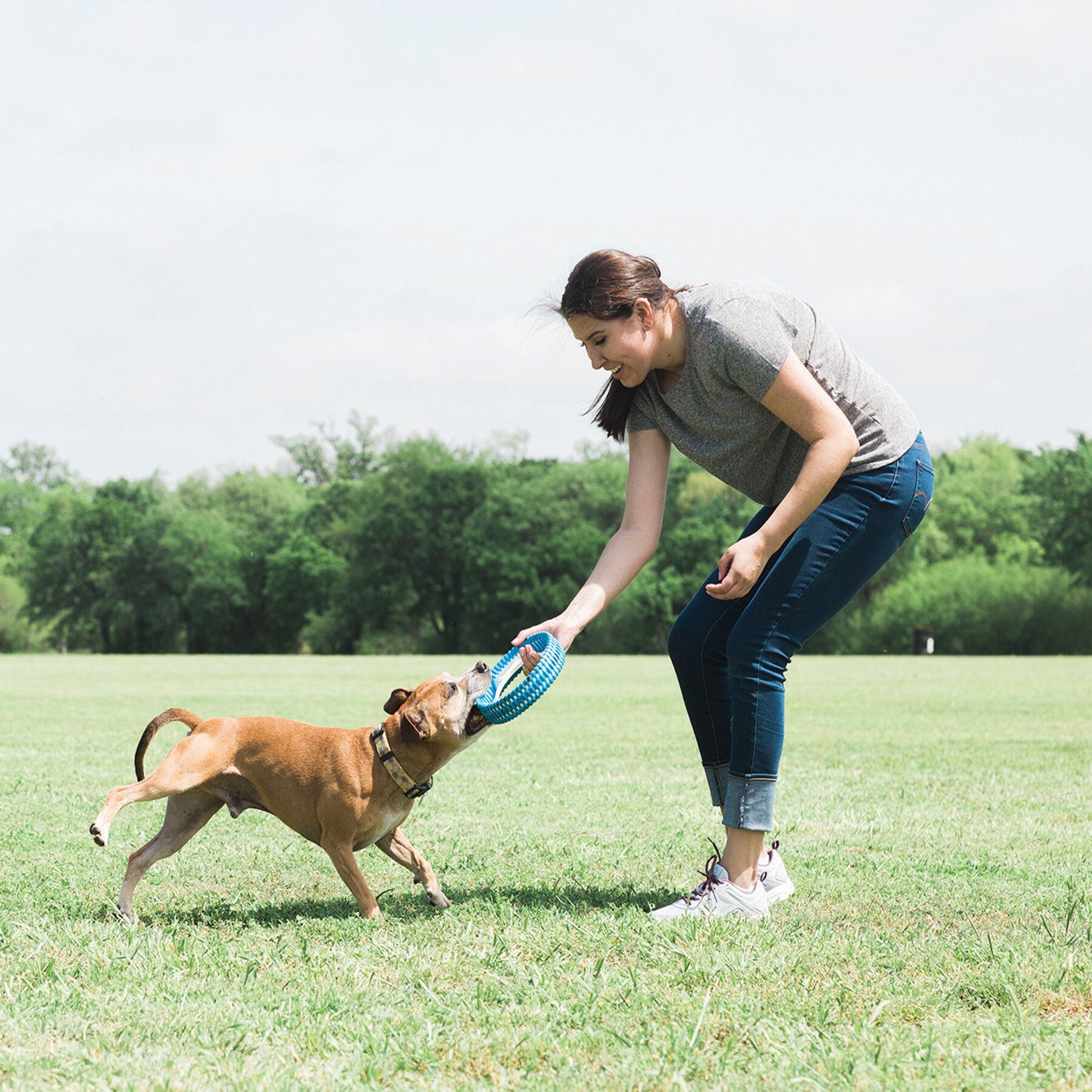 Chuckit Rugged Fetch Wheel Petmate