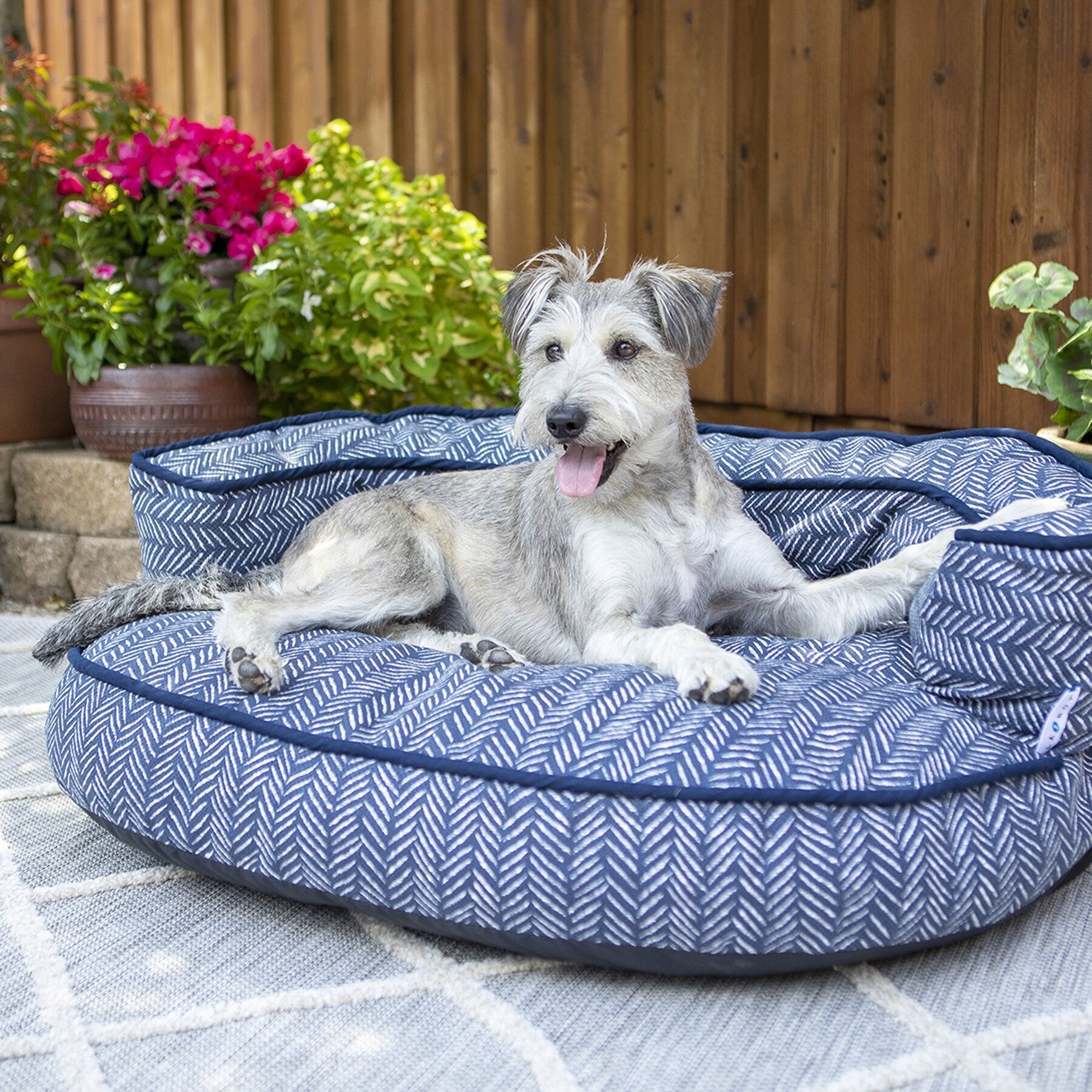 Outdoor bed dog best sale