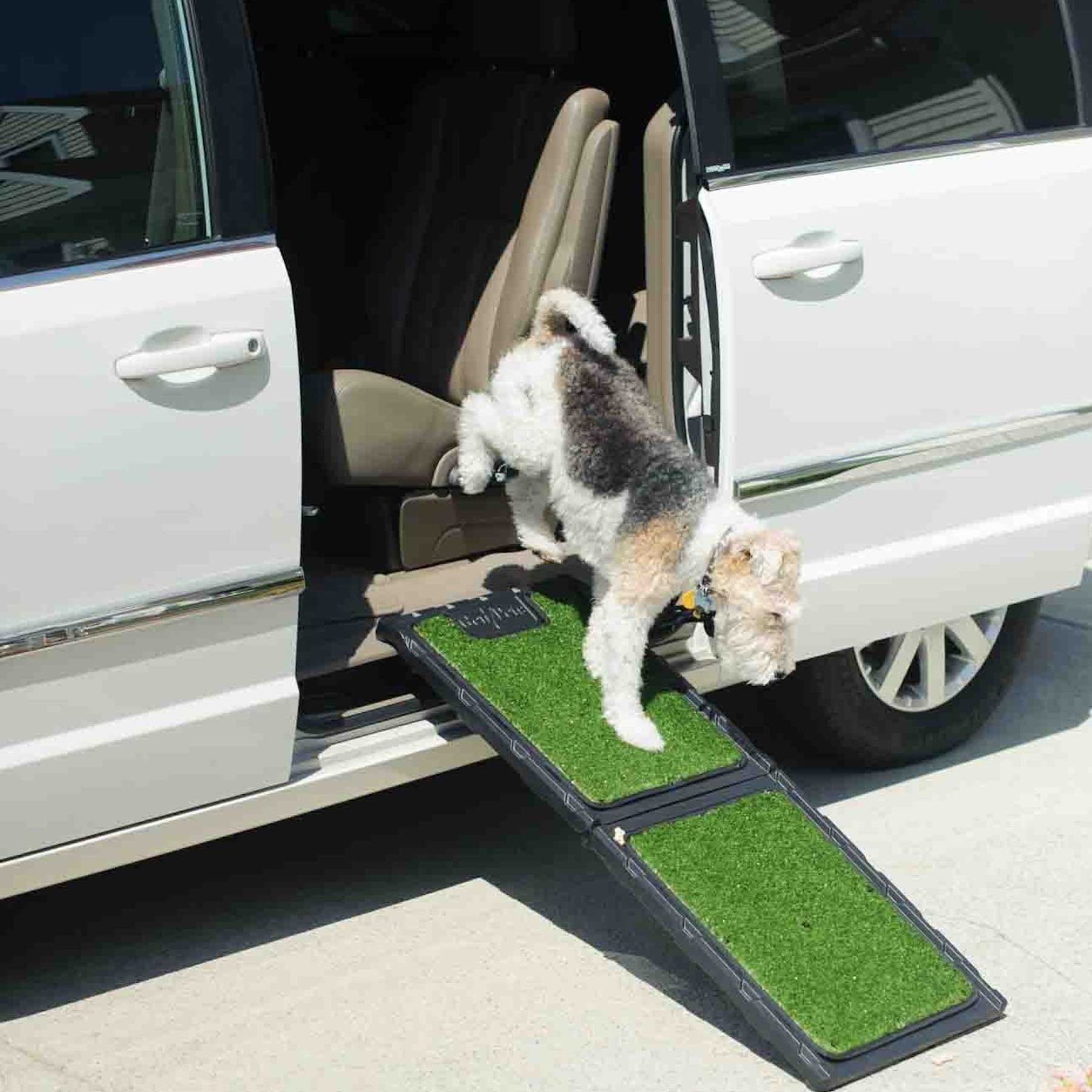 Gen7Pets Natural Step Ramp for Vehicles Petmate