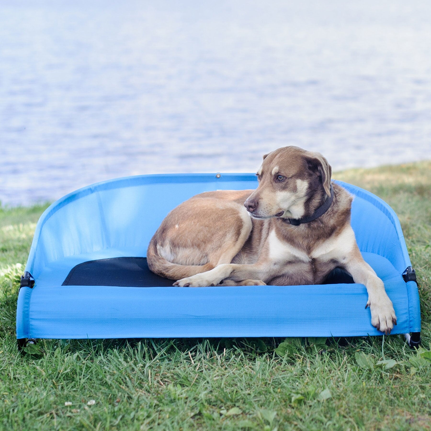 Gen7Pets Cool Air Cot